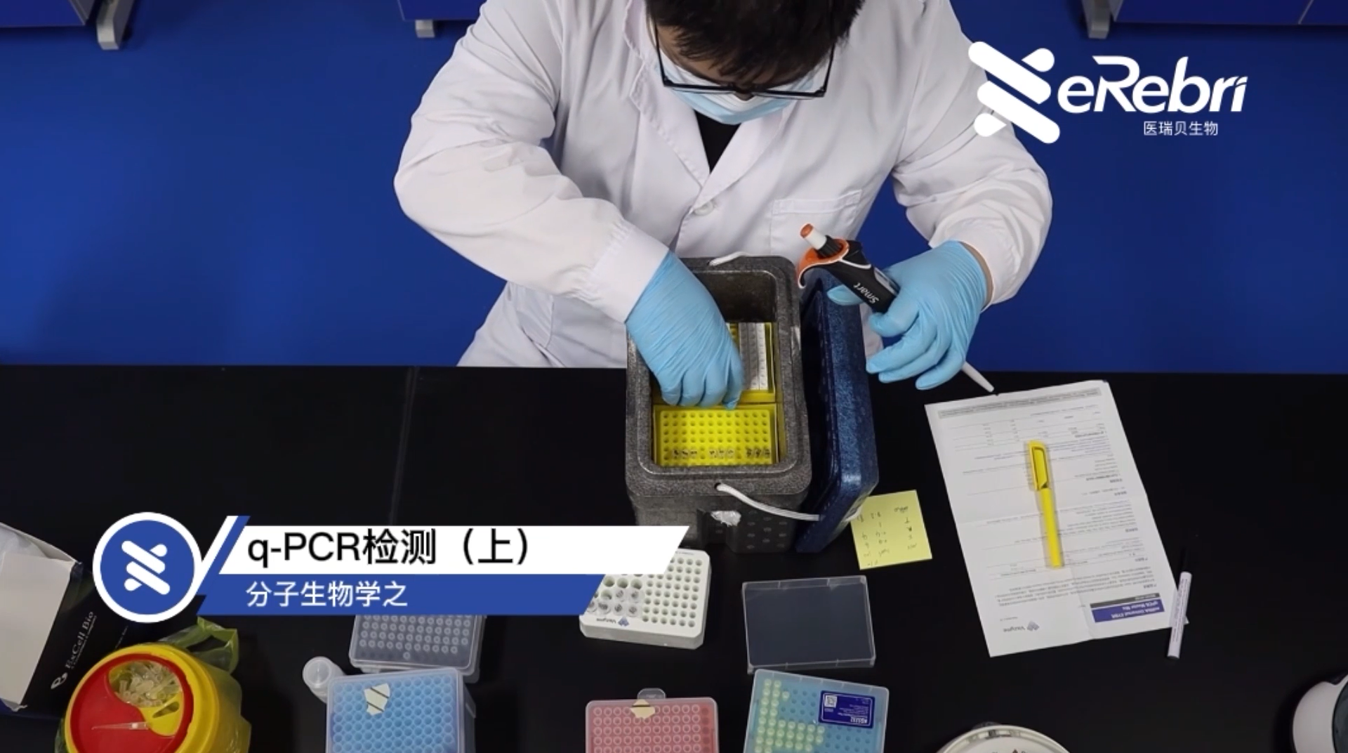 分子实验-q-PCR检测（上）