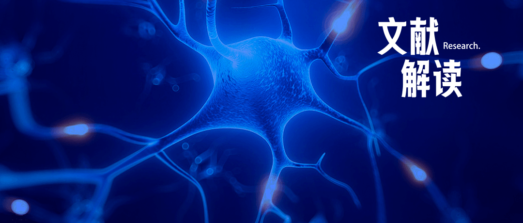 研究前沿｜神经分子生物学：持续转录程序如何影响远程记忆