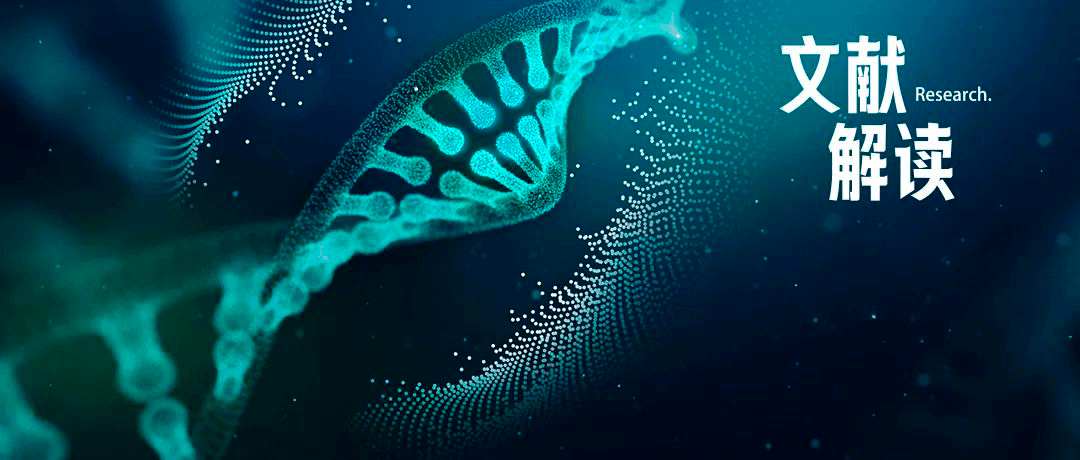 光免疫疗法新助力——核酸纳米凝胶包装光敏剂和PD-L1 siRNA