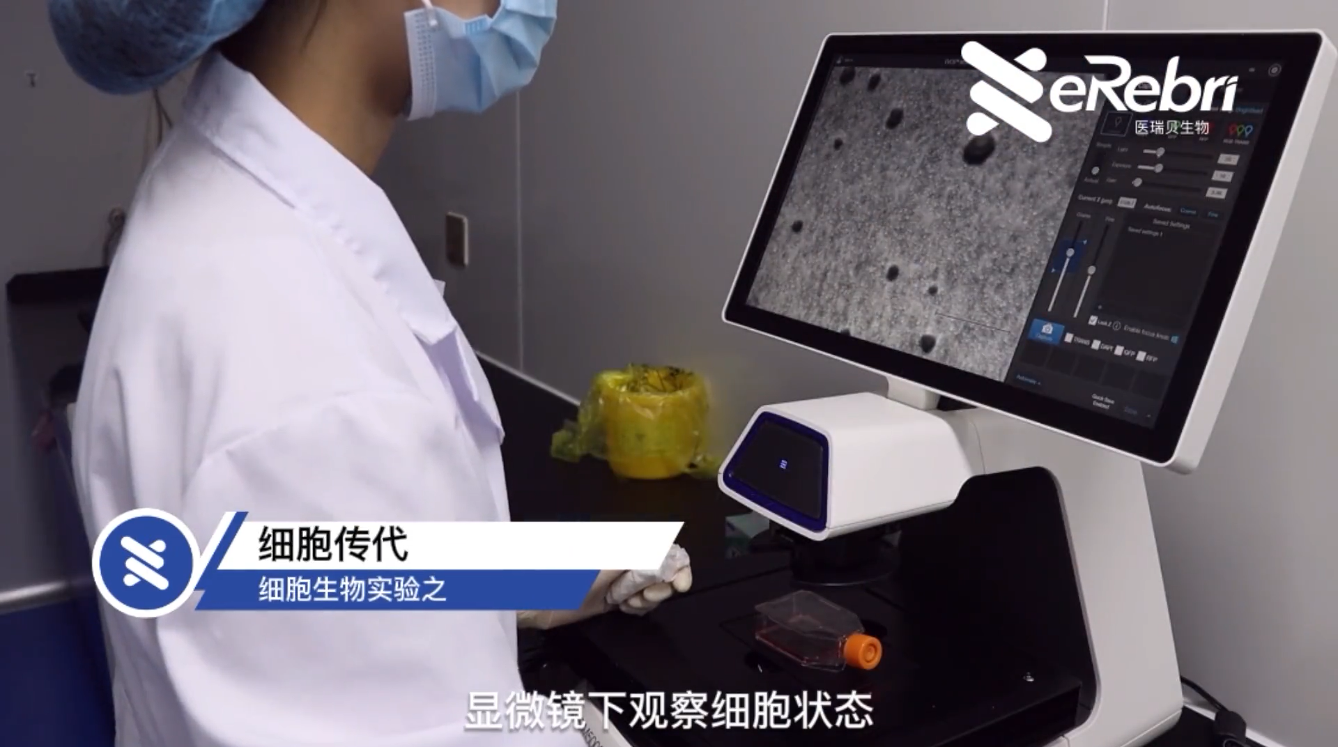 细胞实验-细胞传代