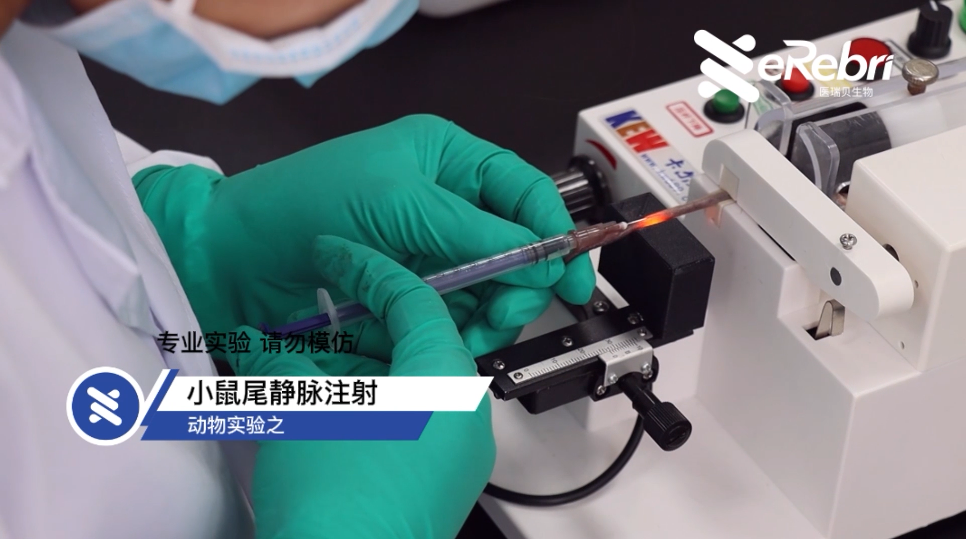 动物实验-小鼠尾静脉注射