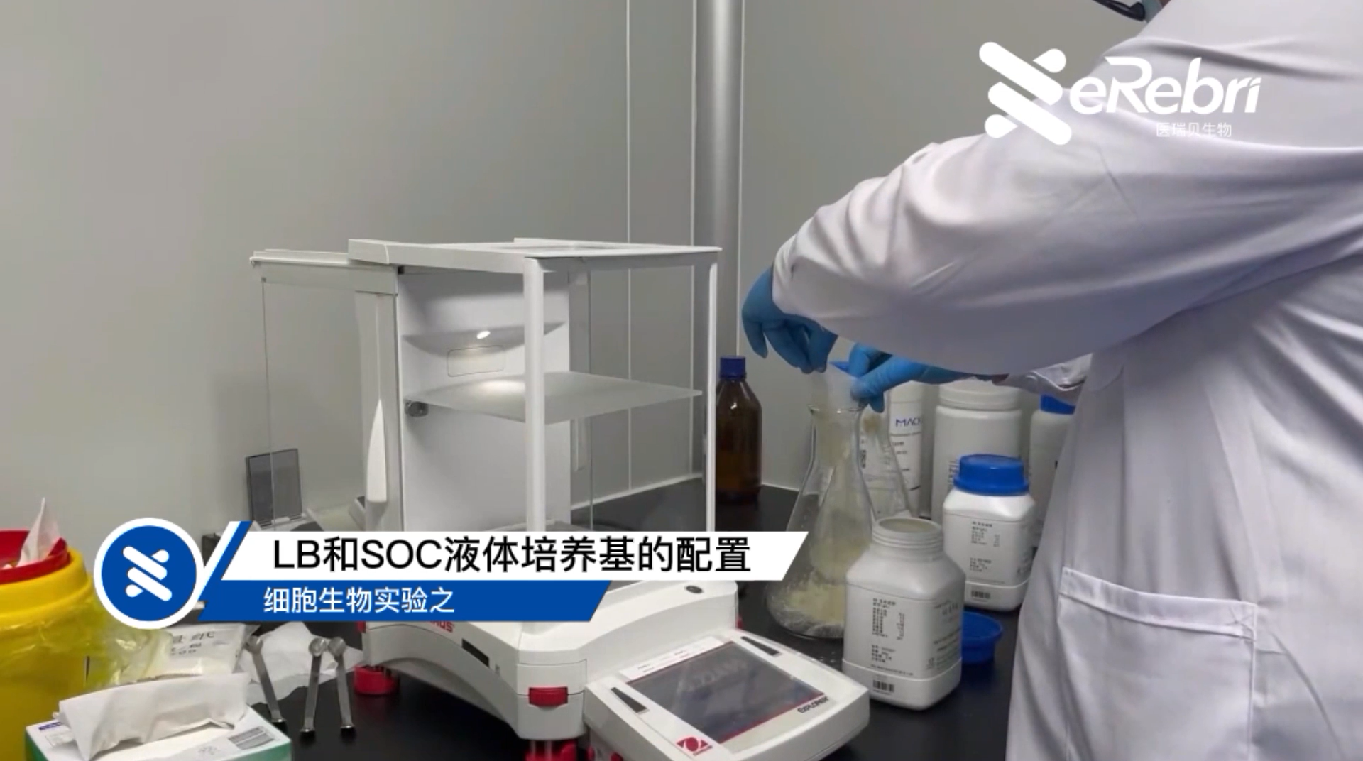 细胞实验-LB和SOC液体培养基的配置