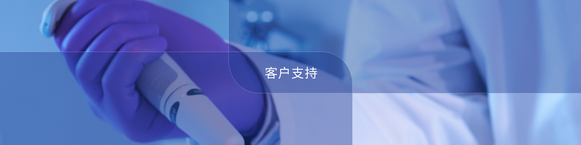 客户支持