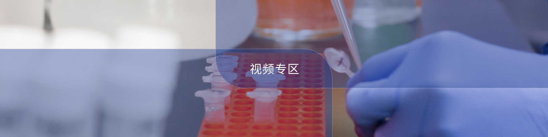 视频专区