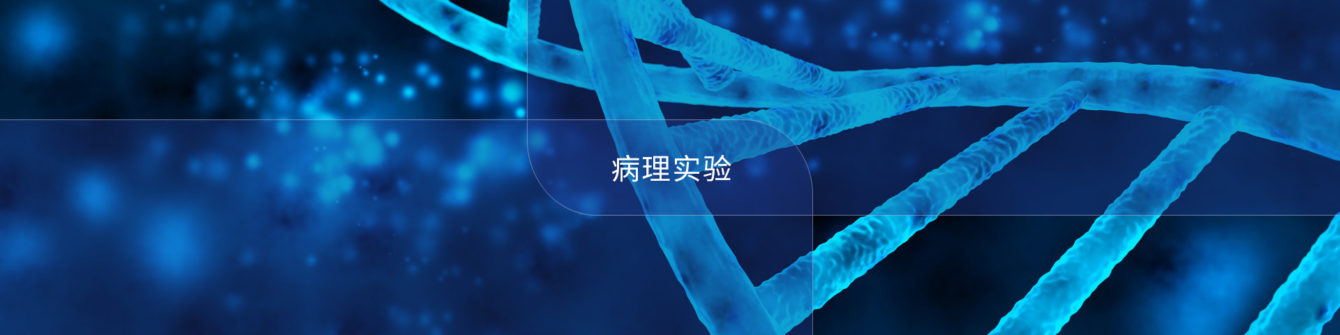 病理实验
