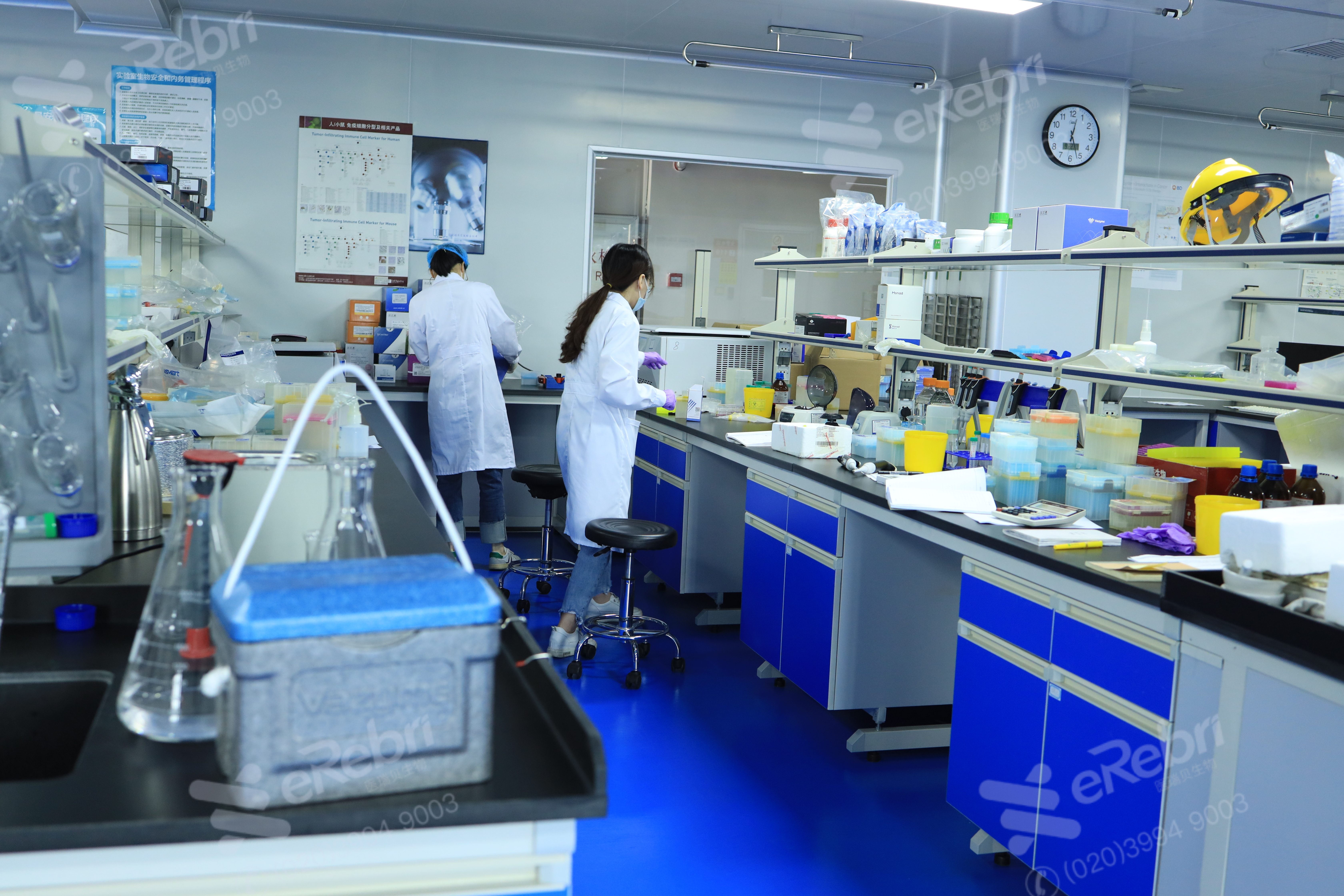 国家自然科学基金“十四五”学科重点支持方向到底有哪些