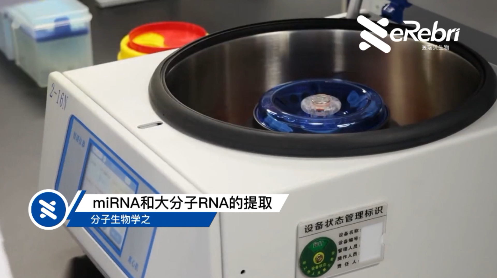 分子实验-miRNA和大分子RNA的提取（下）