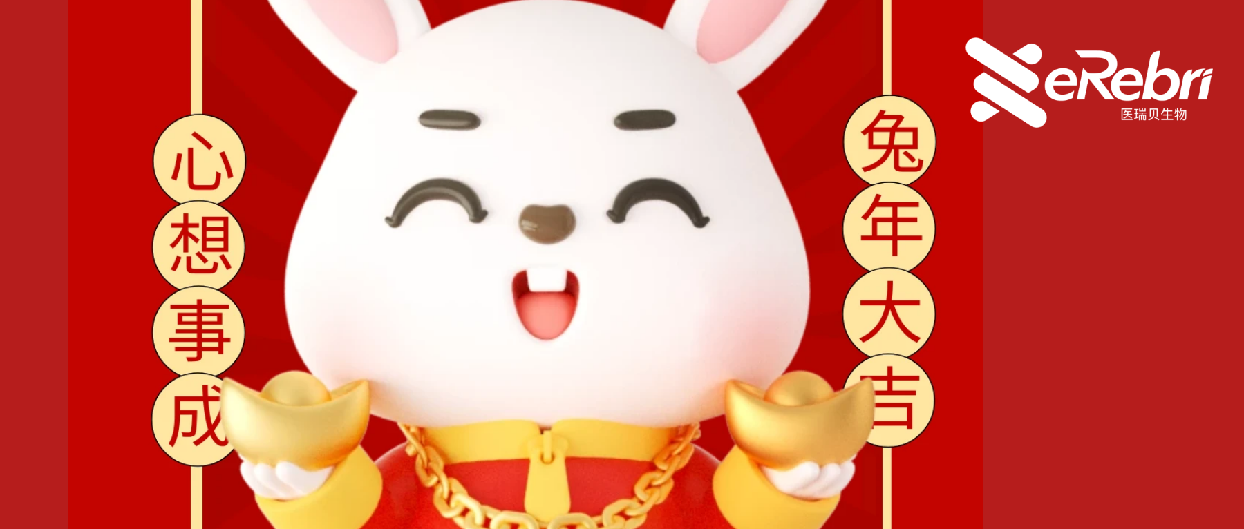共赴新程｜医瑞贝祝大家新年快乐！2023 宏“兔”大展